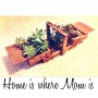 Verre-de-terre-Home-is-where-mom-is